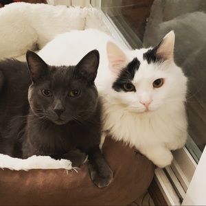 Meet your Posher, Desiree